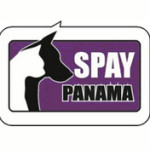 Spay Panama